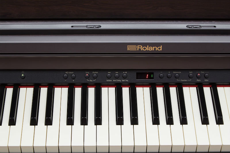 roland rp 501r