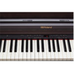 Đàn Piano Roland RP501R