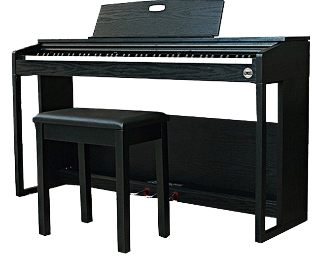 Đánh giá TOP 5 thương hiệu đàn piano điện tốt nhất hiện nay