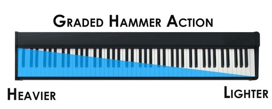 graded hammer action